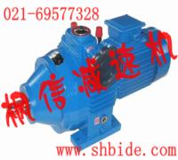 RV50蝸輪蝸桿減速機(jī)配WB65微型擺線(xiàn)針輪減速機(jī)